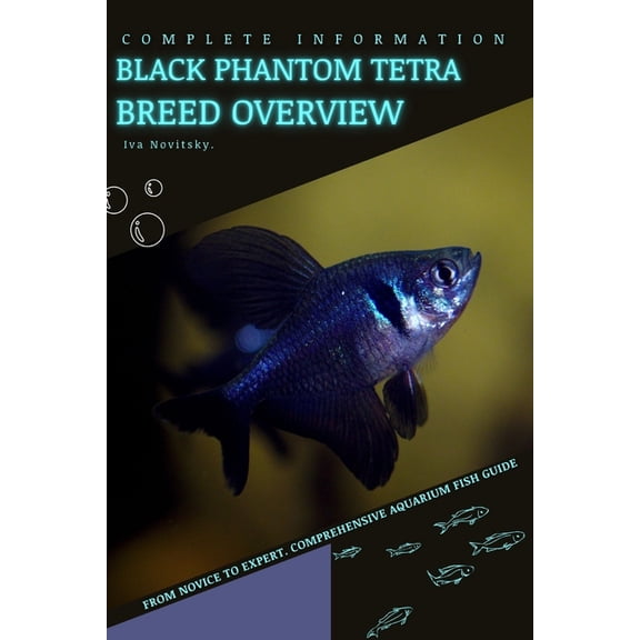 Black Phantom Tetra : From Novice to Expert. Comprehensive Aquarium Fish Guide (Paperback)