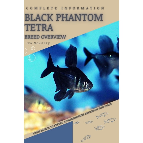 Black Phantom Tetra: From Novice to Expert. Comprehensive Aquarium Fish Guide (Paperback)