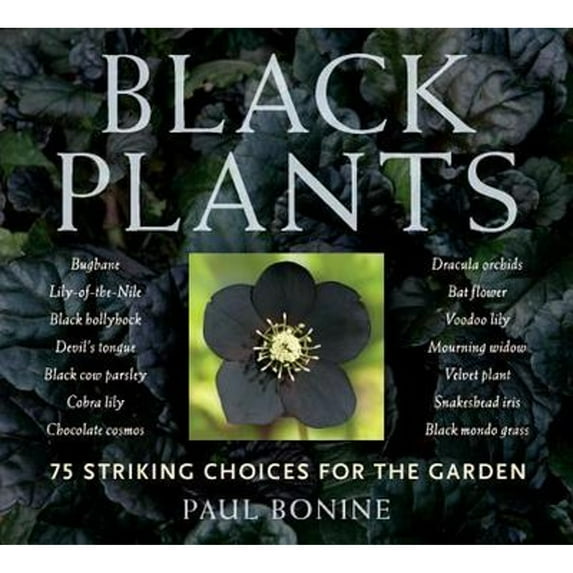Pre-Owned Black Plants: 75 Striking Choices for the Garden (Paperback) 0881929816 9780881929812