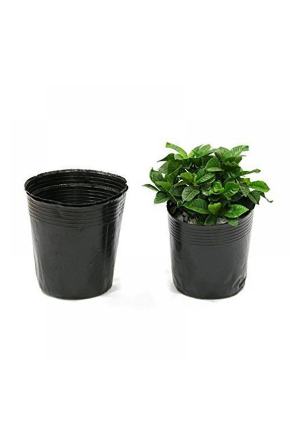 Black Plastic Garden Plant Nutrition Pot Flower Seedlings Nursery Pot 100pc