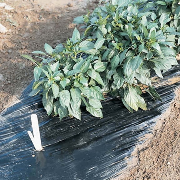Premium Plastic Mulch for Weed Control and Improved Crop Yield - 4' x 600' - Black