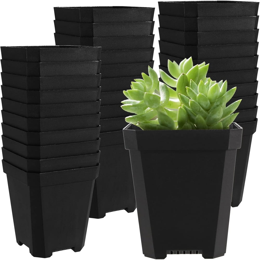 Slanting Pots Black Plastic Succulent Pot,2 Inch Square Nursery Pot,Flower Planting ...