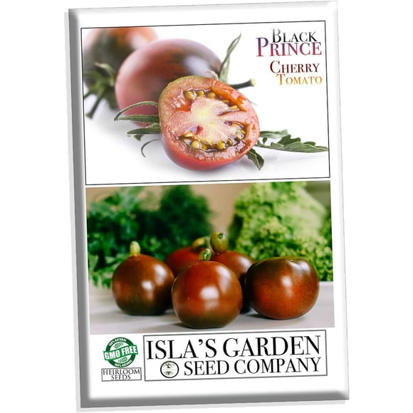 Black Prince Cherry Tomato Seeds for Planting, 25+ Heirloom Seeds Per Packet Non GMO Seeds, Botanical Name Lycopersicon esculentum, Great Home Garden Gift