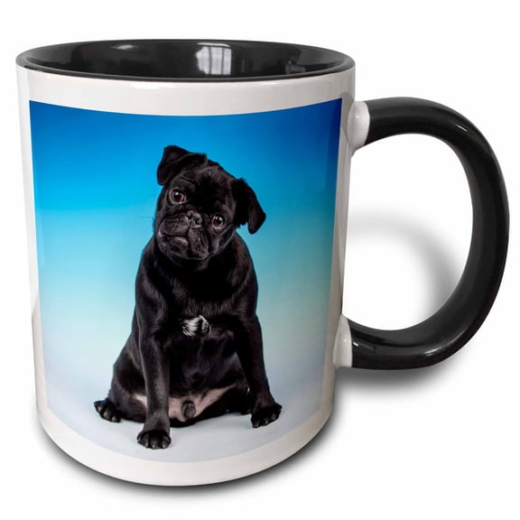 3drose, Black Pug Puppy Sitting in a Studio., Pr, 15oz Two-tone Black Mug