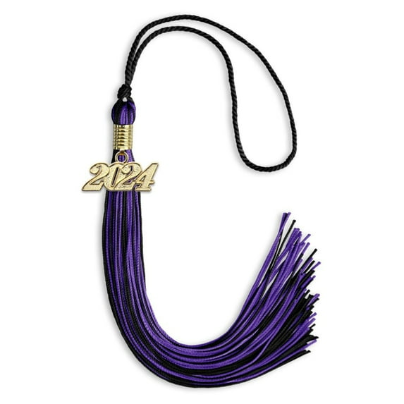 Endea Graduation Black/Purple Mixed Color Graduation Tassel with Gold Date Drop