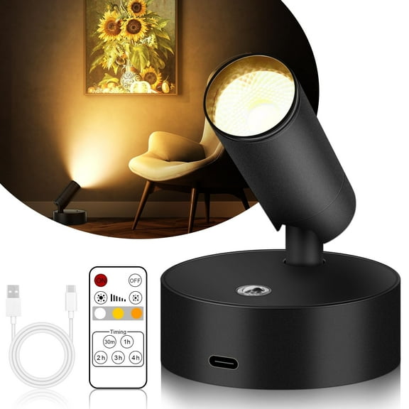 Black-Rechargeable Remote control-Warm Light 3000K indoor spotlight