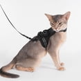 thumbnail image 1 of Black Reflective Cat Harness and Leash Set, H-Shape Chest Strap with GPS Tracker Pouch for Small Cats 3-8 Lbs, 5 Ft Anti-Escape Lead, 1 of 8