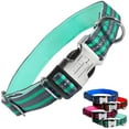 thumbnail image 1 of Black Rhino - Classic Striped Adjustable Dog Collar for Small Medium Large Breeds | 3m Reflective Threading | 4 Bright Colors - Matching Leashes Sold Separately (Aqua Striped, Medium), 1 of 3