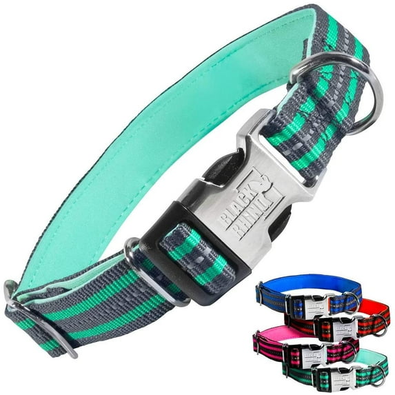 Black Rhino - Classic Striped Adjustable Dog Collar for Small Medium Large Breeds | 3m Reflective Threading | 4 Bright Colors - Matching Leashes Sold Separately (Aqua Striped, Medium)