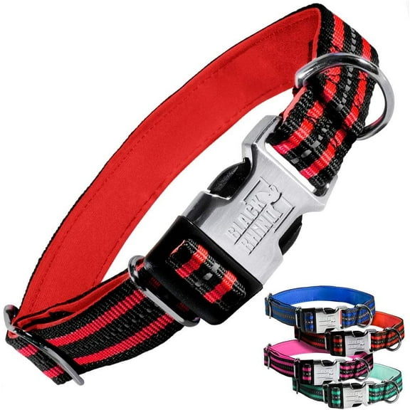 Black Rhino - Classic Striped Adjustable Dog Collar for Small Medium Large Breeds | 3m Reflective Threading | 4 Bright Colors - Matching Leashes Sold Separately (Red Striped, Small)