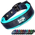 thumbnail image 1 of Black Rhino - The Comfort Collar Ultra Soft Neoprene Padded Dog Collar for All Breeds - Heavy Duty Adjustable Reflective Weatherproof (Large, Aqua/Grey), 1 of 7