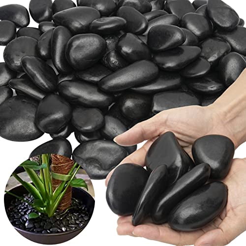 Black River Rocks - Large Polished Black Pebbles for Plants & Garden Decorative Stones, 1-2 Inch, 15 Pound$$Garden &