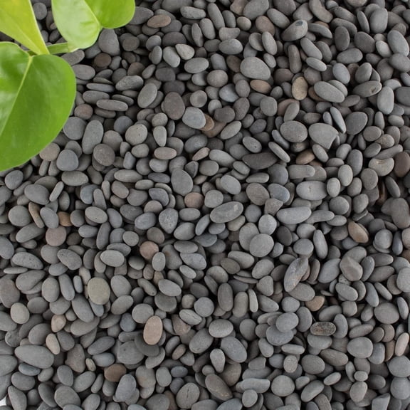 Black Rock, 18lb River Rocks Pebbles for Plants Succulents, Decorative Outdoor Landscaping Garden Rocks, Natural Small Mexican Beach Pebbles Aquarium Rocks Gravel for Fish Tanks Vase Yard Decor