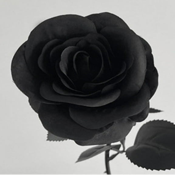 Black Roses Gothic Black Flowers Fake Flowers 20 Inch Long Stem Roses Artificial Flowers Black Artificial Flowers 1 PC