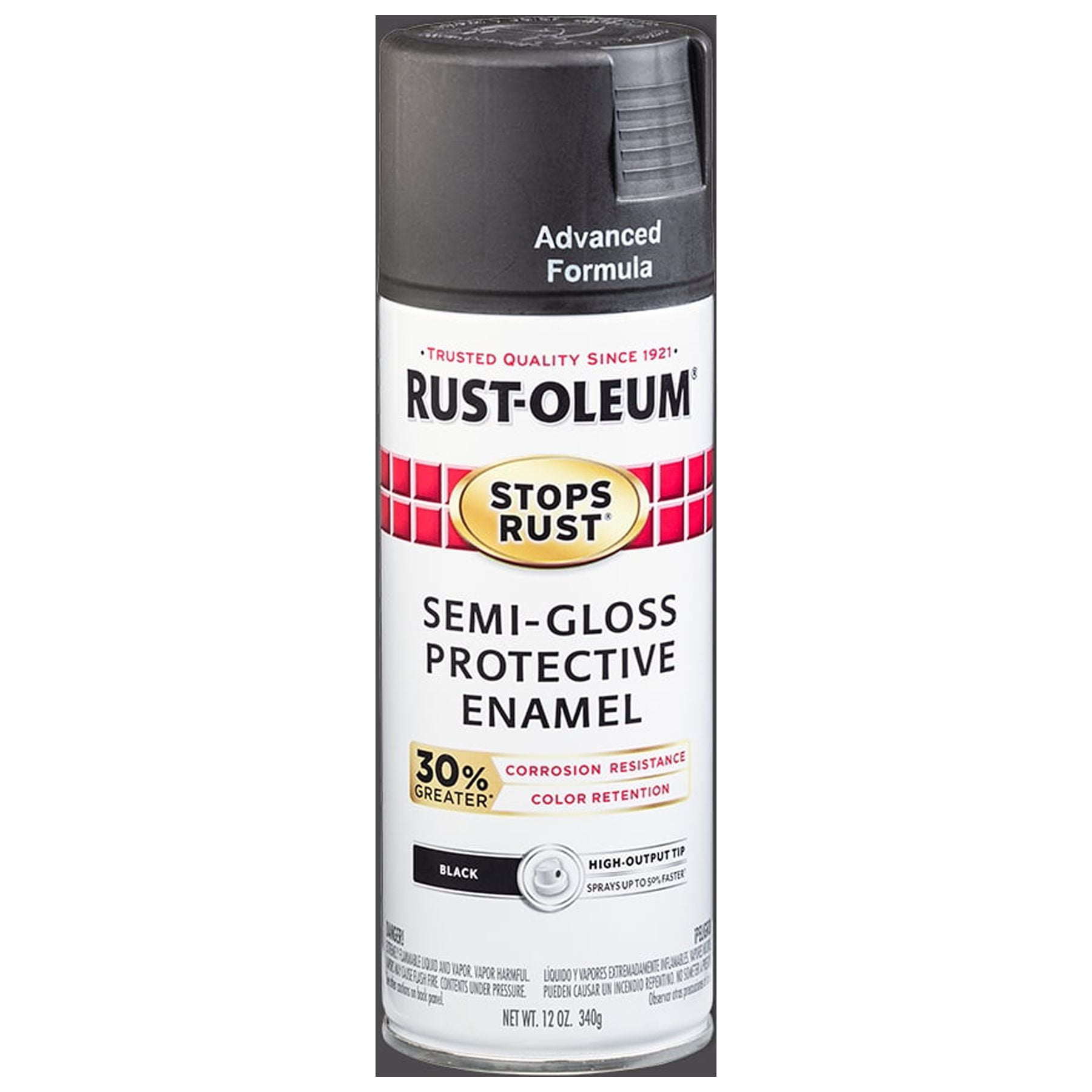 Rust-Oleum 7992830-6PK Stone Creations Spray Paint, 12 oz, Gray Stone, 6  Pack 