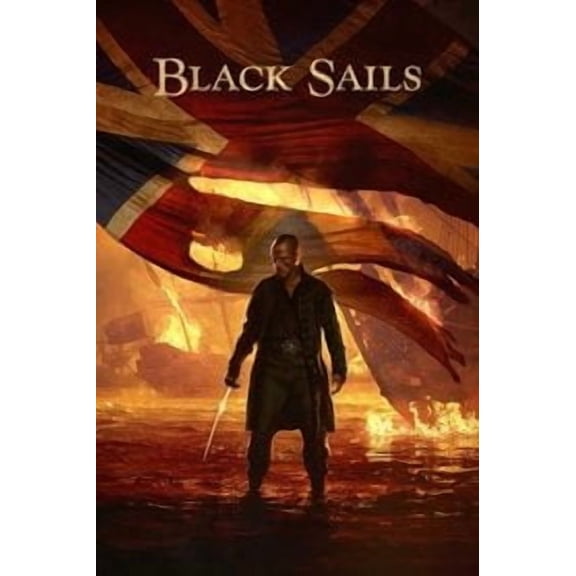 Black Sails (Season 1  4 ) English Dvd Box Set