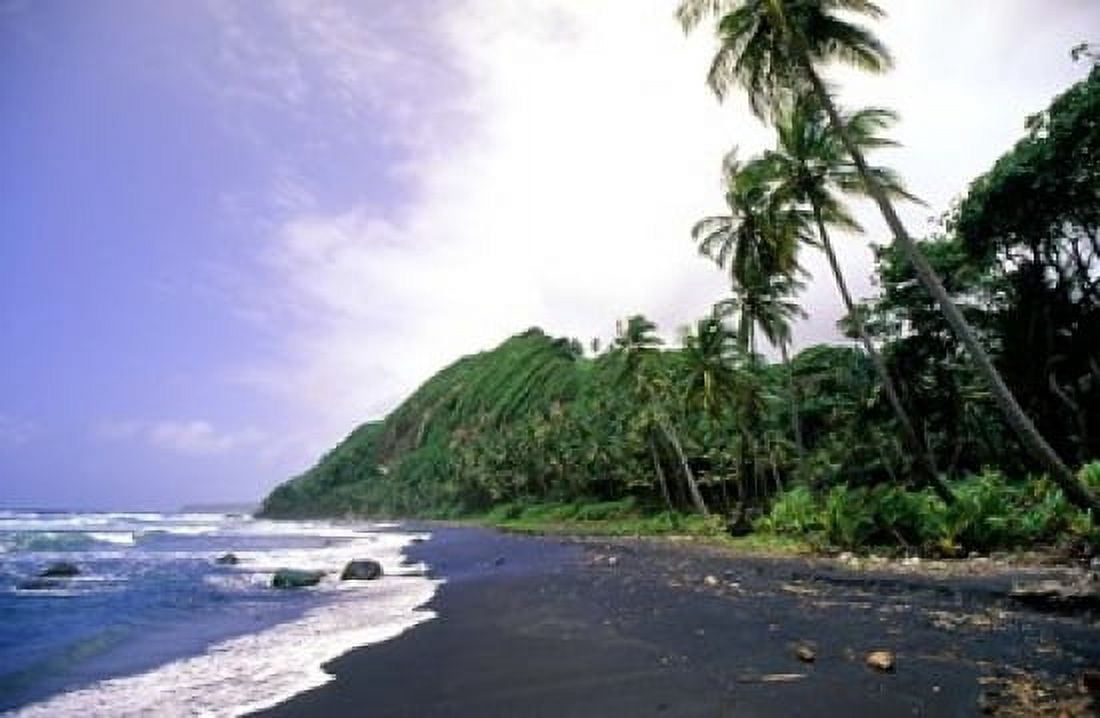 Black Sand Beach Dominica Canvas Art - Michael DeFreitas DanitaDelimont (36 x 24)