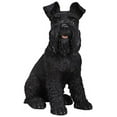 thumbnail image 1 of Black Schnauzer, 1 of 2