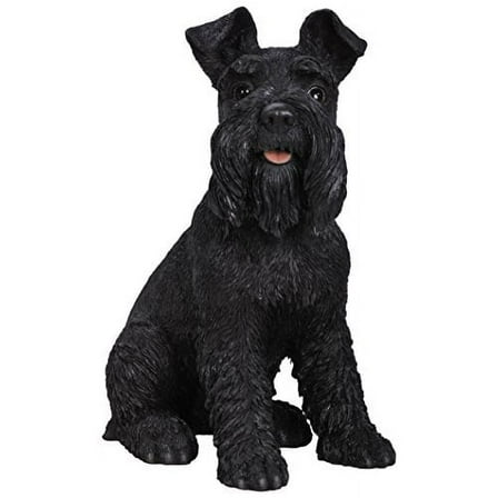 Black Schnauzer