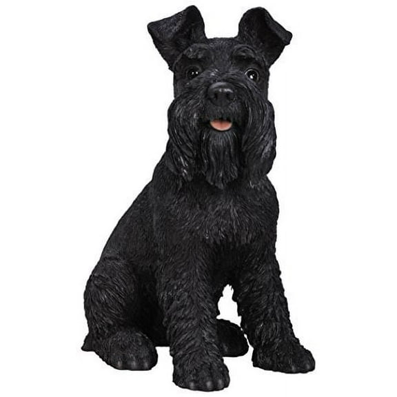 Black Schnauzer