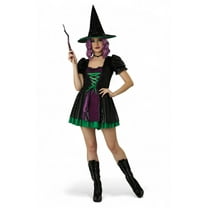 Black Shimmer Witch Adult Costume