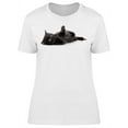 thumbnail image 1 of Black Shorthair Cat: Laying Down T-Shirt Women -Image by Shutterstock, Female x-Large, 1 of 2