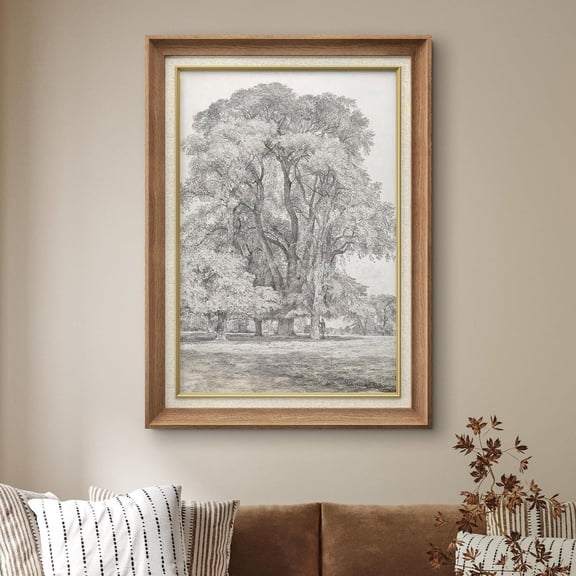 Black Sketch Oak Forest Unframed Paper Print