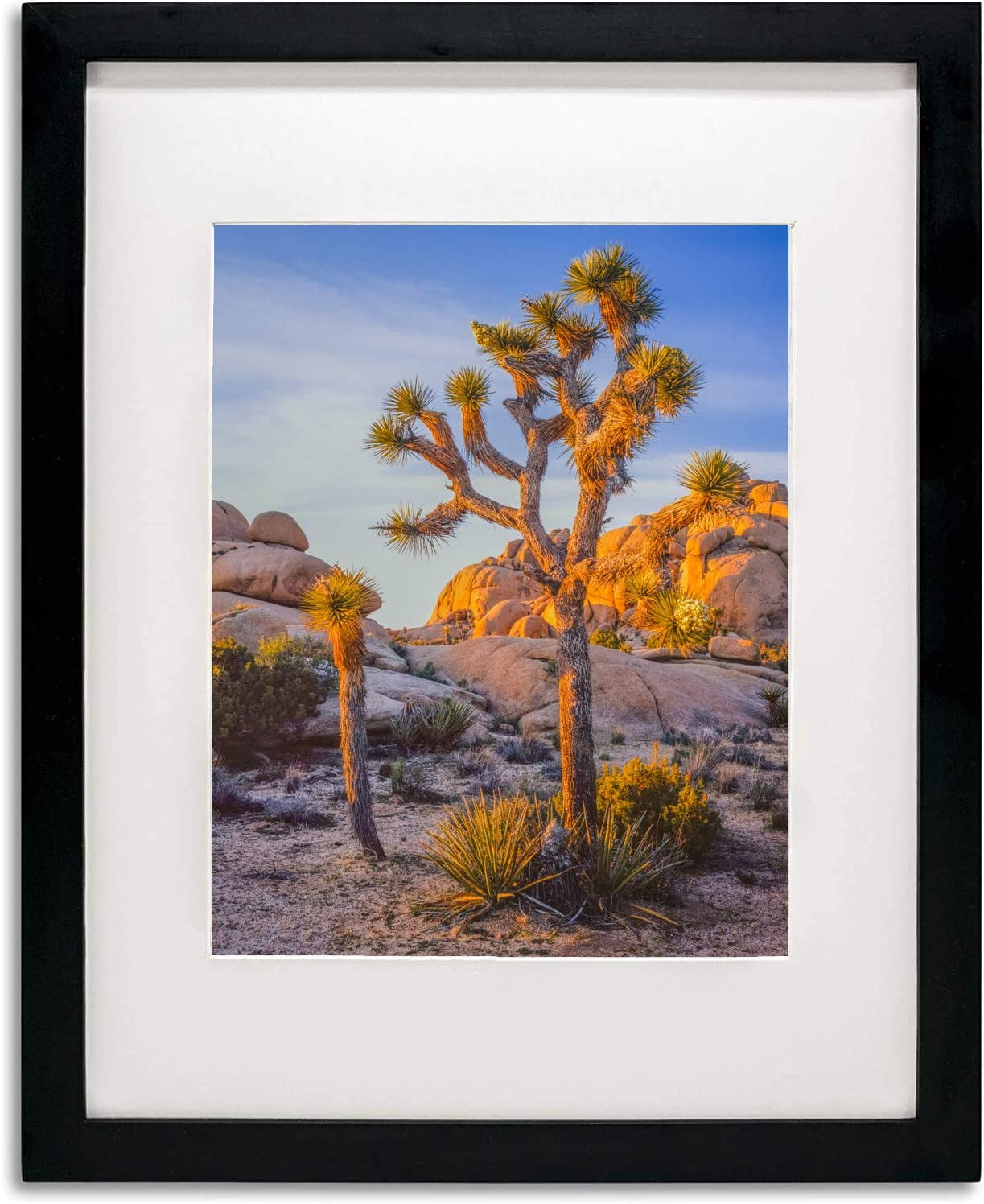 Black Solid Wood 16x20 Picture Frame with Tempered glass for Photo size 11x14 or 16x20 Poster Frame horizontal/vertical display
