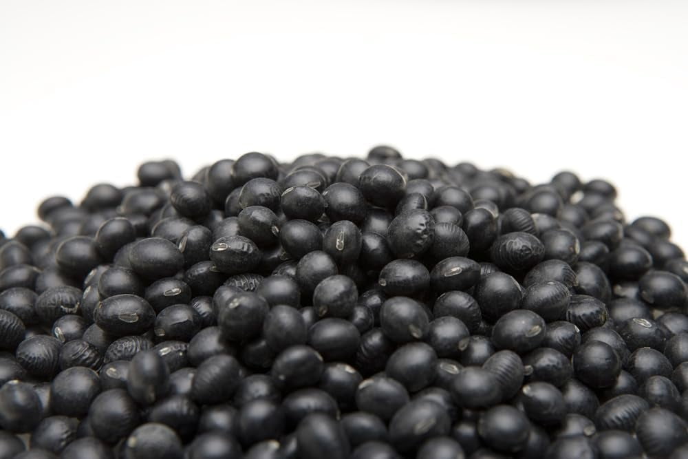 Black Soybean Seeds for Planting - Grown for Sprouts or Full Season (5,000 Seeds)