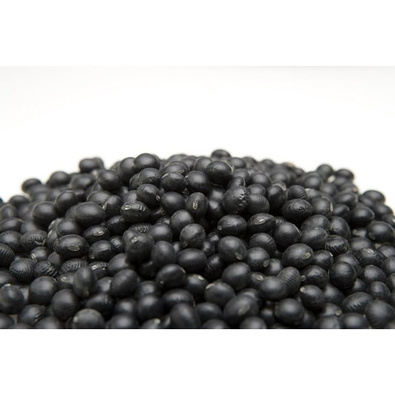 Black Soybean Seeds for Planting - Grown for Sprouts or Full Season (5,000 Seeds)