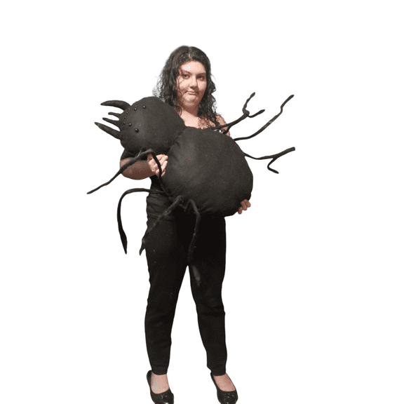 Black Spider, Big, Spooky Halloween Dcor, Blue Ribbon Ornaments