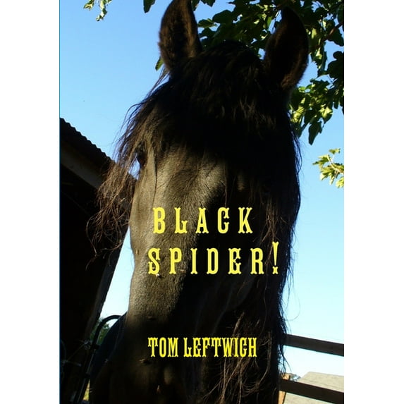 Black Spider !, (Paperback)
