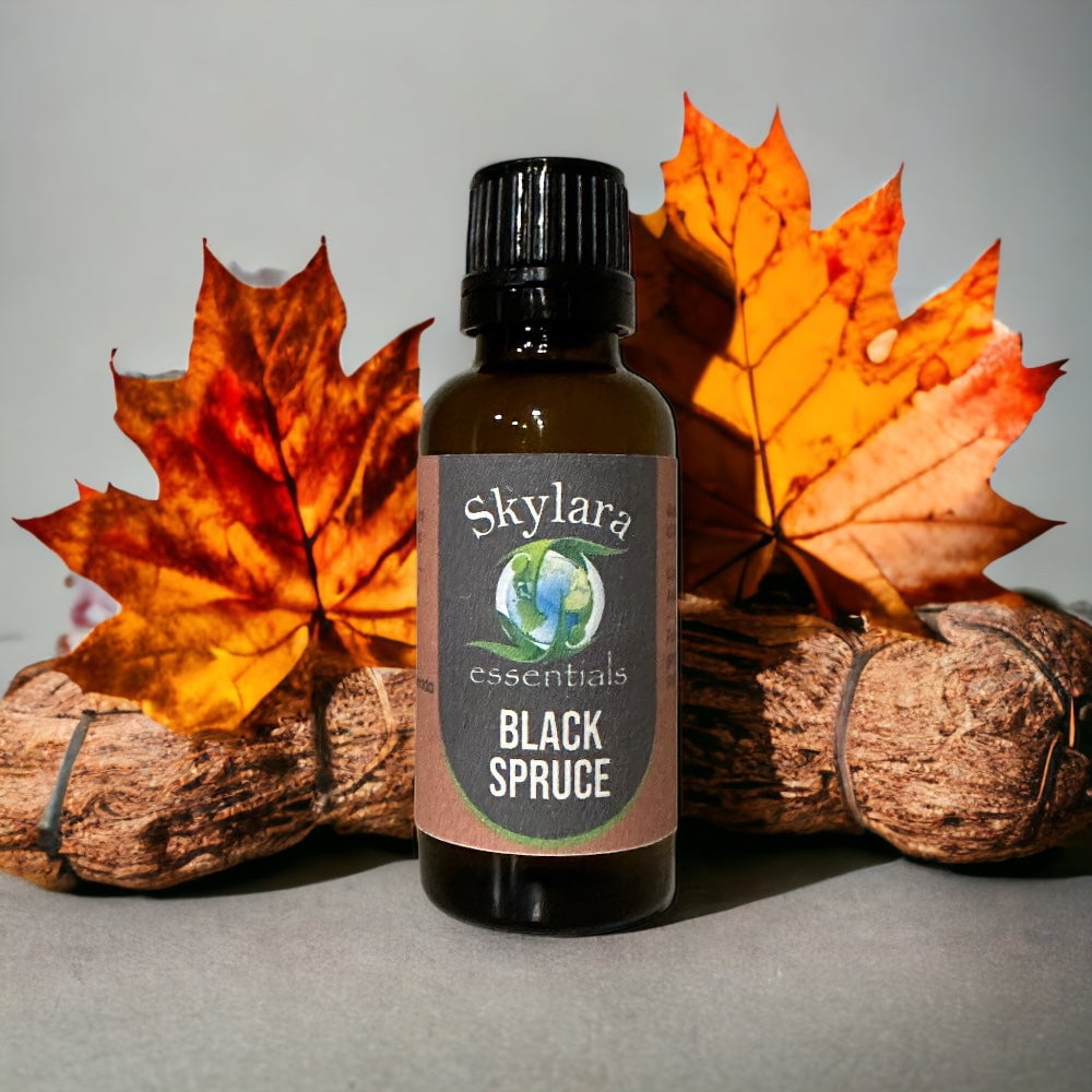 Black Spruce Essential Oil - 100% Pure and Therapeutic Grade - Walmart.com