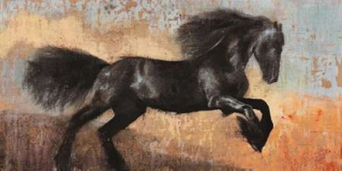 Black Stallion Canvas Art - Dario Moschetta (10 x 20)