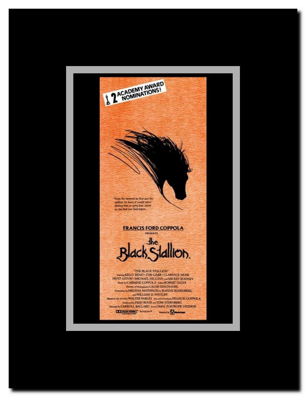 Black Stallion Framed Movie Poster