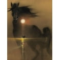 thumbnail image 1 of Black Stallion Movie Poster Reprint 27inx40in for any room 27x40 Square Adults Poster Time, 1 of 1