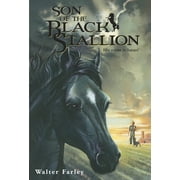 Black Stallion: Son of the Black Stallion (Paperback)