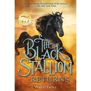 Black Stallion The Black Stallion Returns, Paperback