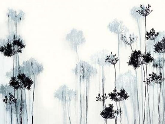 Black Stems Canvas Art - Hans Andkjaer (18 x 24)