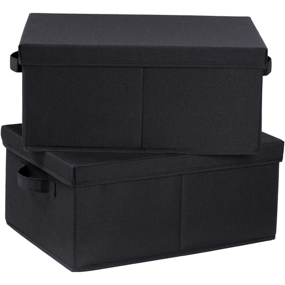 Black Storage Boxes With Lids, 2-Pack, For Organizing Shoes Books Clothes