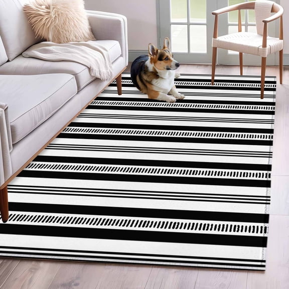 Black Striped 3'x5' Area Rugs Modern Farmhouse Stripes Rustic Geometric Washable Area Rugs Non-Slip Indoor Floor Mats Carpet for Living Room Bedroom Dining Room