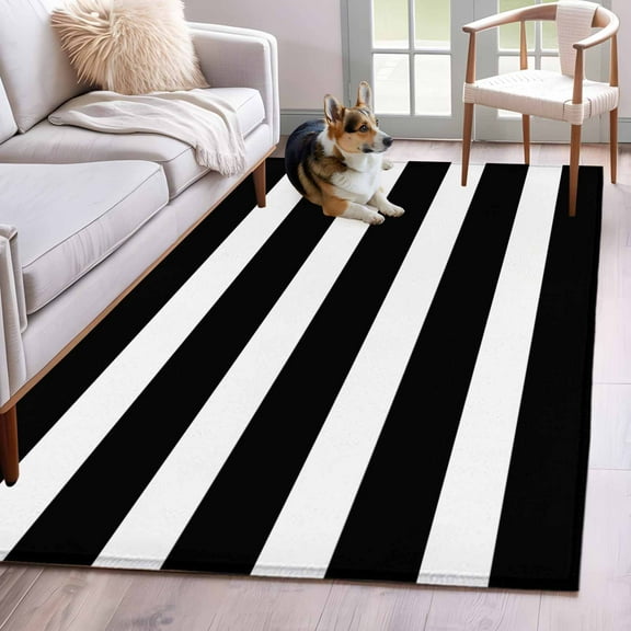 Black Striped Area Rug 4x6 Washable Rug Non Slip Modern Simple Monochrome Geometric White Large Area Rug Indoor Floor Carpet for Entryway Bedroom Kitchen Living Room Home Office Dining Room Nursery