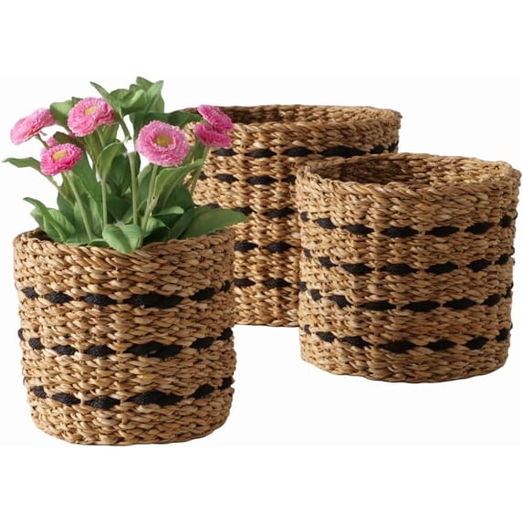 Seagrass and Jute Plant Baskets, Round, Chunky Sweater Weave, Natural (3 Pack)