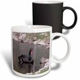 thumbnail image 1 of 3drose, Black Swan, 11oz Magic Transforming Mug, 1 of 7