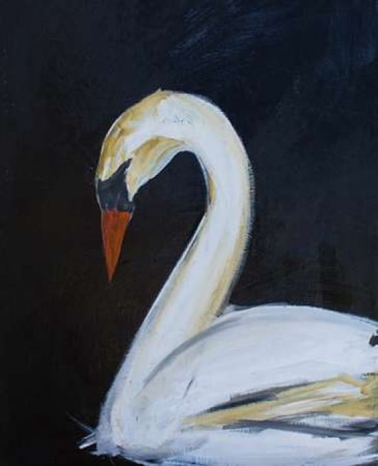 Black Swan Canvas Art - Melissa Lyons (20 x 24)