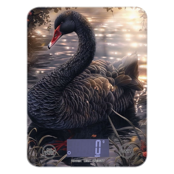 Black Swan Food Scale Digital Kitchen Scale Waterproof Grams Ounces lbs for Weight Loss