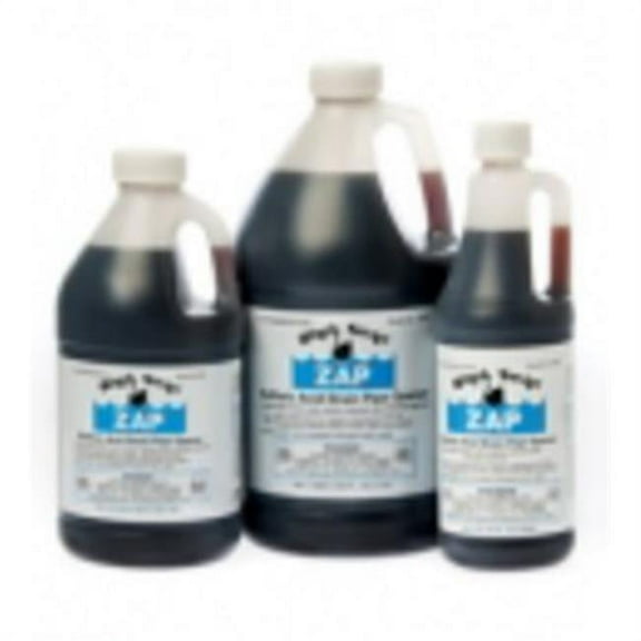 Black Swan Manufacturing 139202071 1 qt. 09020 Zap Drain Pipe Opener - Sulfuric Acid