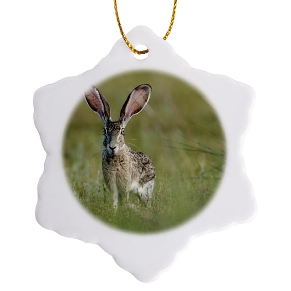 3drose, Black-tailed Jackrabbit, Lepus Californicus, Welder Flats, Texas, 3 inch Snowflake Porcelain Ornament