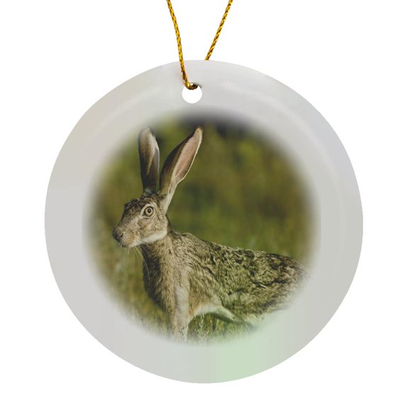 3drose, Black-tailed Jackrabbit, Welder Flats, Texas - Us44 Mpr0062 - Maresa Pryor, Circle Porcelain Ornament