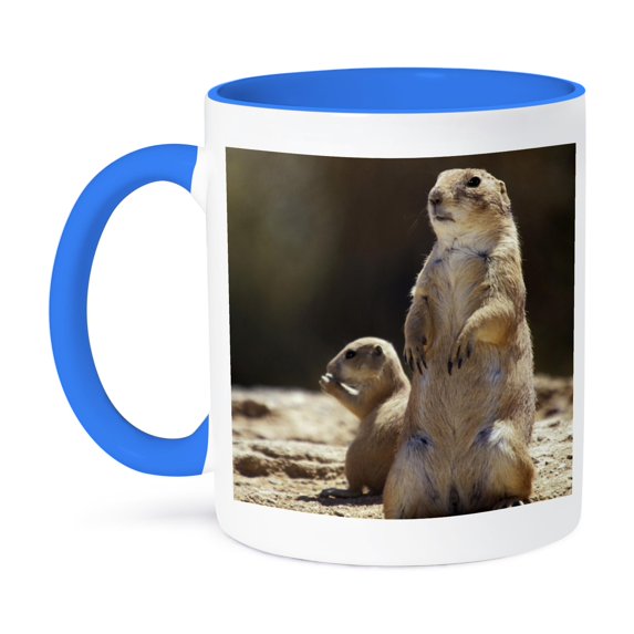 3dRose, Black-tailed Prairie dog wildlife, Arizona - US03 JME0034 - John and Lisa Merrill, 11oz Two-Tone Blue Mug